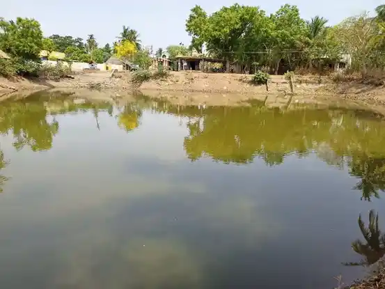 Arulmigu Sellamuthu Mariamman Temple, Agalangan - 611102 Arulmigu Sellamuthu Mariamman Temple, Agalangan - 611102, Nagapattinam - Ancient Temple Architecture and History Image 2
