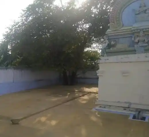 Arulmigu Sellandiamman Temple, Athani - 638502 Arulmigu Sellandiamman Temple, அத்தாணி - 638502, Erode - Ancient Temple Architecture and History Image 3