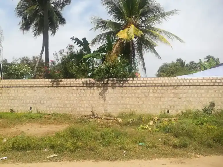 Arulmigu Sellandiamman Temple, Chettimankurichi - 637101 அருள்மிகு செல்லாண்டியம்மன் திருக்கோயில், Chettimankurichi - 637101, Salem - Ancient Temple Architecture and History Image 2