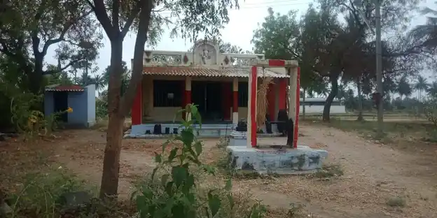 Arulmigu Sellandiamman Temple, Chettipatty, Thevur - 637104 அருள்மிகு செல்லாண்டியம்மன் திருக்கோயில், Chettipatty, Thevur - 637104, Salem - Ancient Temple Architecture and History Image 3