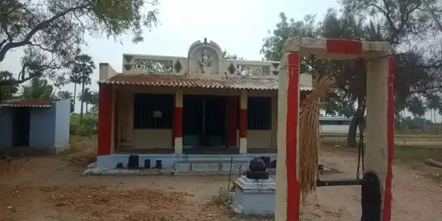 Arulmigu Sellandiamman Temple, Chettipatty, Thevur - 637104 அருள்மிகு செல்லாண்டியம்மன் திருக்கோயில், Chettipatty, Thevur - 637104, Salem - Ancient Temple Architecture and History Image 4