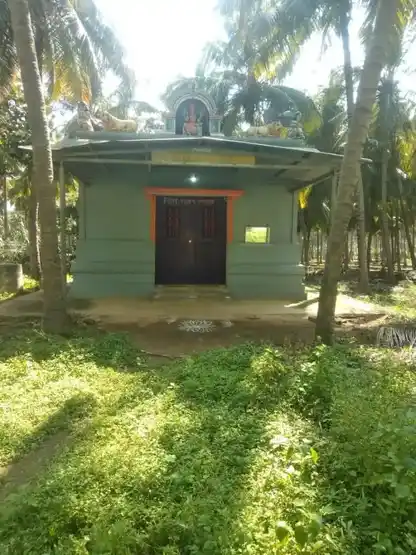 Arulmigu Sellandiamman Temple, Chiinnappanuthu, Chinnappapanuthu - 642128