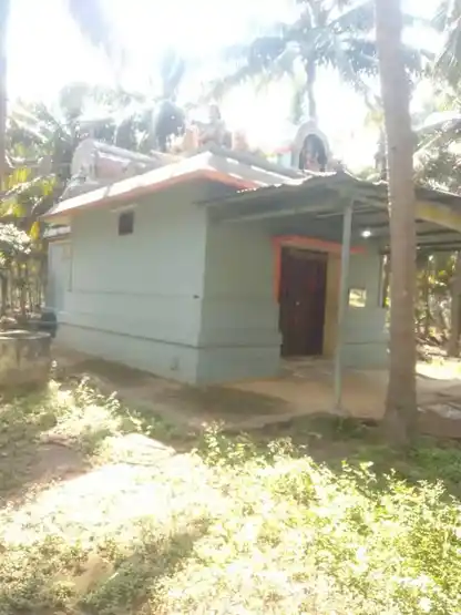 Arulmigu Sellandiamman Temple, Chiinnappanuthu, Chinnappapanuthu - 642128 அருள்மிகு செல்லாண்டியம்மன் திருக்கோயில், Chinnappanuthu, Chinnappapanuthu - 642128, Tiruppur - Ancient Temple Architecture and History Image 3