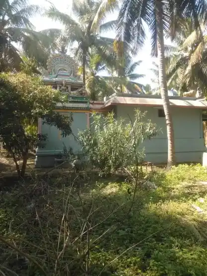 Arulmigu Sellandiamman Temple, Chiinnappanuthu, Chinnappapanuthu - 642128 அருள்மிகு செல்லாண்டியம்மன் திருக்கோயில், Chinnappanuthu, Chinnappapanuthu - 642128, Tiruppur - Ancient Temple Architecture and History Image 4