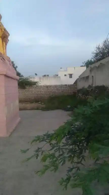 Arulmigu Sellandiamman Temple, Chinnamanali - 637410 அருள்மிகு செல்லாண்டியம்மன் திருக்கோயில், Chinnamanali - 637410, Salem - Ancient Temple Architecture and History Image 2