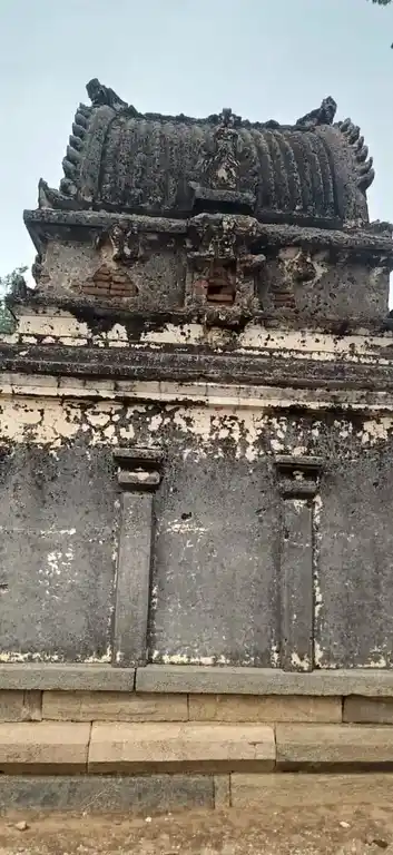 Arulmigu Sellandiamman Temple, Edaikalpady - 639202 அருள்மிகு செல்லாண்டியம்மன் திருக்கோயில், Edaikalpady - 639202, Tiruppur - Ancient Temple Architecture and History Image 4