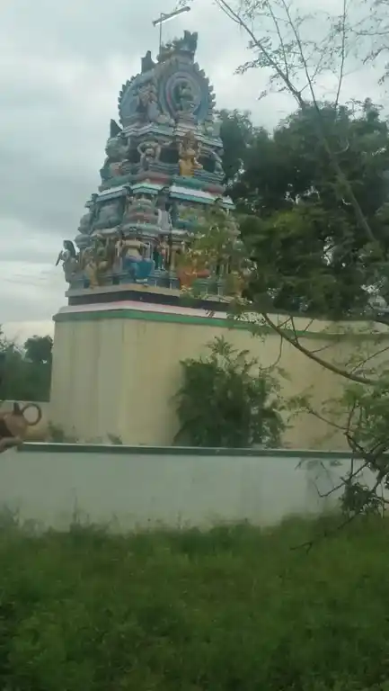 Arulmigu Sellandiamman Temple, Egapuram - 637502 அருள்மிகு செல்லாண்டியம்மன் திருக்கோயில், Egapuram - 637502, Salem - Ancient Temple Architecture and History Image 3
