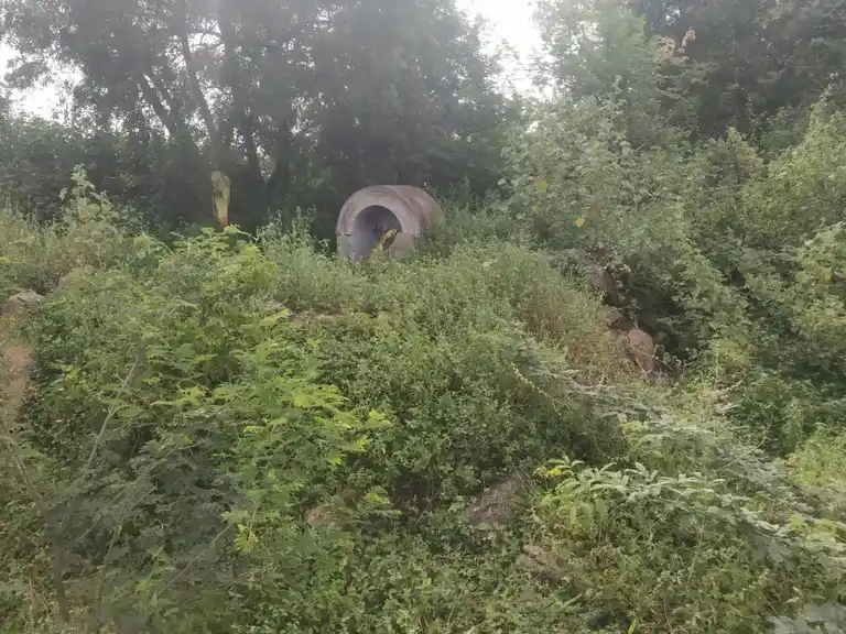 Arulmigu Sellandiamman Temple, Elanthalapatti - 621118 Temple