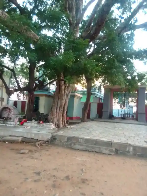 Arulmigu Sellandiamman Temple, Erikarai, Kannanur - 621206