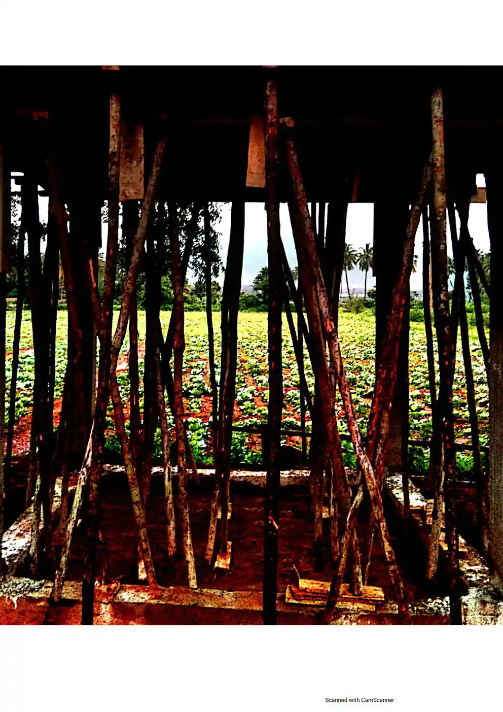 Arulmigu Sellandiamman Temple, Kottur - 625534 அருள்மிகு செல்லாண்டியம்மன் திருக்கோயில், Kottur - 625534, Theni - Ancient Temple Architecture and History Image 2