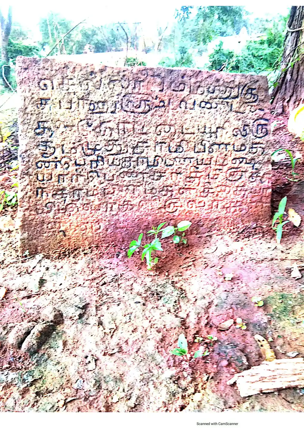 Arulmigu Sellandiamman Temple, Kottur - 625534 அருள்மிகு செல்லாண்டியம்மன் திருக்கோயில், Kottur - 625534, Theni - Ancient Temple Architecture and History Image 4