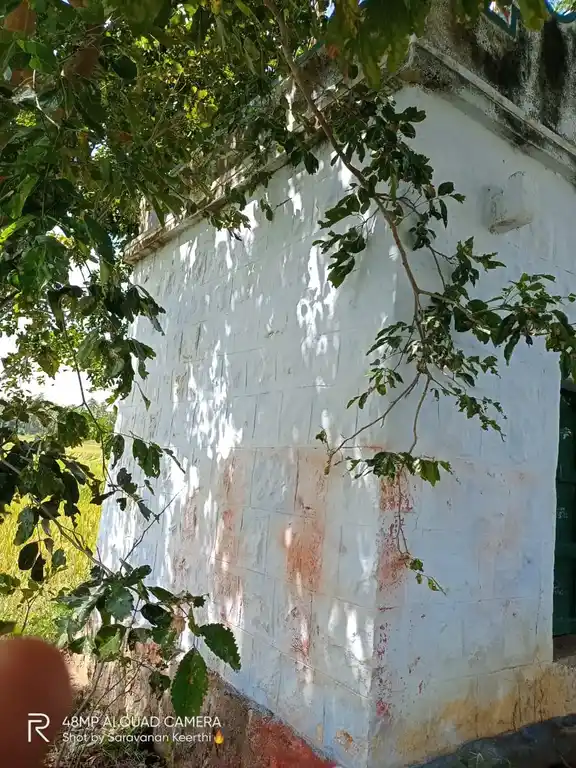 Arulmigu Sellandiamman Temple, Kutchanur - 625515 அருள்மிகு செல்லாண்டியம்மன் திருக்கோயில், Kutchanur - 625515, Theni - Ancient Temple Architecture and History Image 4