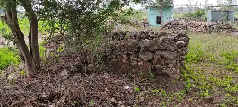 Arulmigu Sellandiamman Temple, Madhur - 644676 அருள்மிகு செல்லாண்டியம்மன் திருக்கோயில், Madhur - 644676, Tiruppur - Ancient Temple Architecture and History Image 3