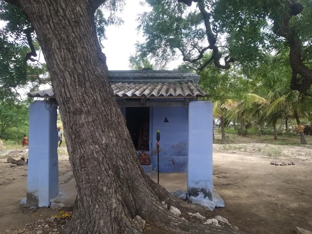 அருள்மிகு செல்லாண்டியம்மன் திருக்கோயில், Munduvalampatty - 642206 - Main View