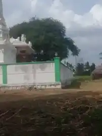 Arulmigu Sellandiamman Temple, Murungapatty - 636307 அருள்மிகு செல்லாண்டியம்மன் திருக்கோயில், Murungapatty - 636307, Salem - Ancient Temple Architecture and History Image 3