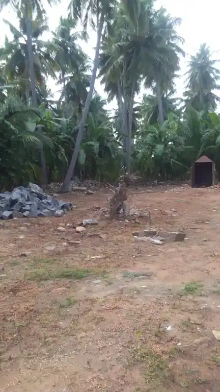 Arulmigu Sellandiamman Temple, Nedungulam - 637107