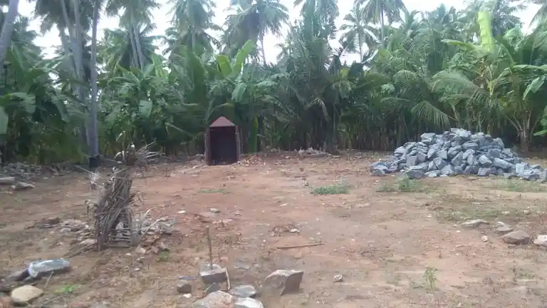 Arulmigu Sellandiamman Temple, Nedungulam - 637107 அருள்மிகு செல்லாண்டி அம்மன் திருக்கோயில், Nedungulam - 637107, Salem - Ancient Temple Architecture and History Image 4