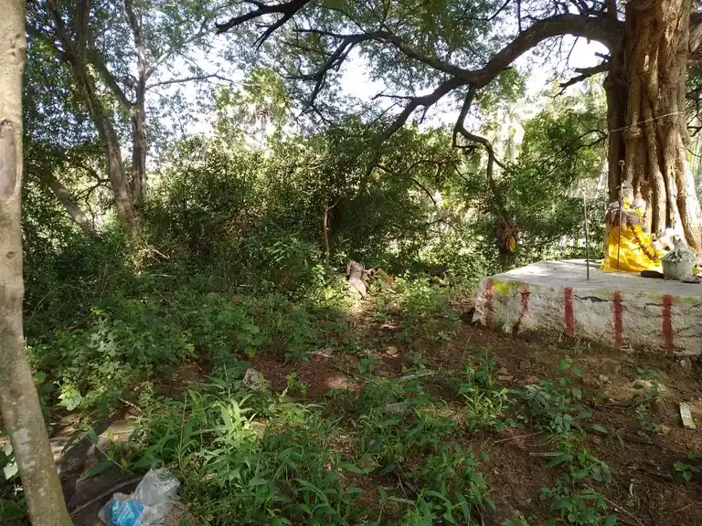 Arulmigu Sellandiamman Temple, Palaiyakannivadi - 624705