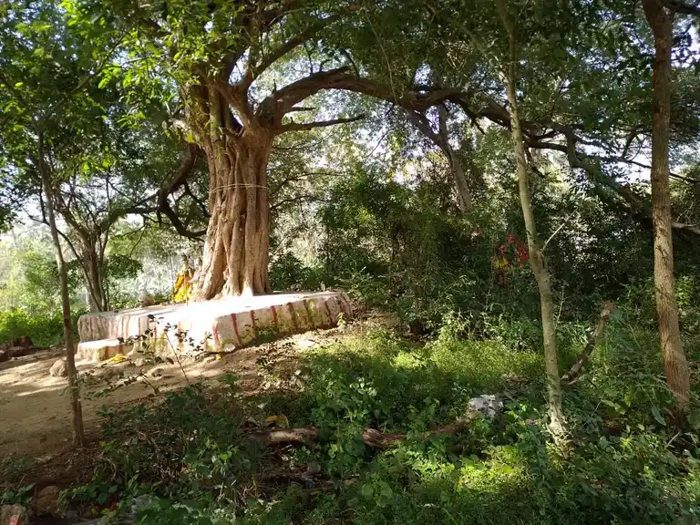 Arulmigu Sellandiamman Temple, Palaiyakannivadi - 624705 அருள்மிகு செல்லாண்டியம்மன் திருக்கோயில், Palaiyakannivadi - 624705, Dindigul - Ancient Temple Architecture and History Image 3