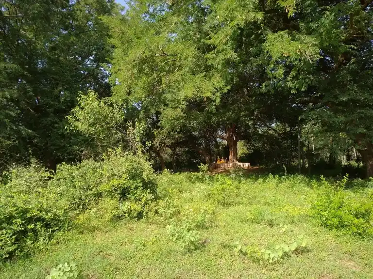 Arulmigu Sellandiamman Temple, Palaiyakannivadi - 624705 அருள்மிகு செல்லாண்டியம்மன் திருக்கோயில், Palaiyakannivadi - 624705, Dindigul - Ancient Temple Architecture and History Image 4