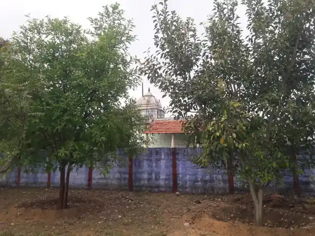 Arulmigu Sellandiamman Temple, Sankari - 637504 Temple