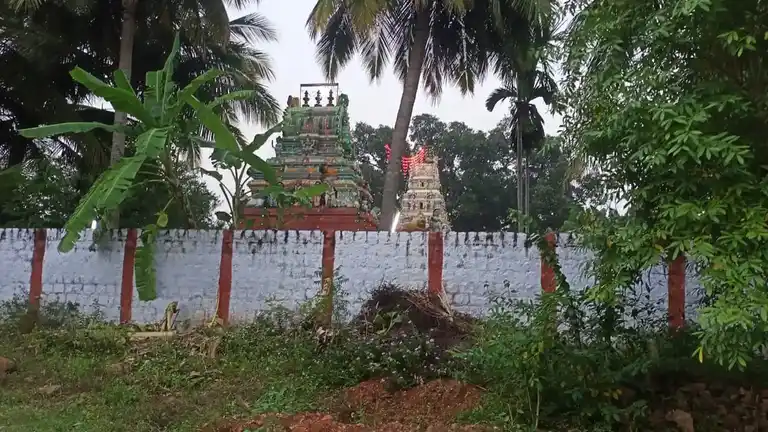 Arulmigu Sellandiamman Temple, Sappanipatty, Vanavasi - 636457 அருள்மிகு செல்லாண்டியம்மன் திருக்கோயில், Sappanipatty, Vanavasi - 636457, Salem - Ancient Temple Architecture and History Image 4