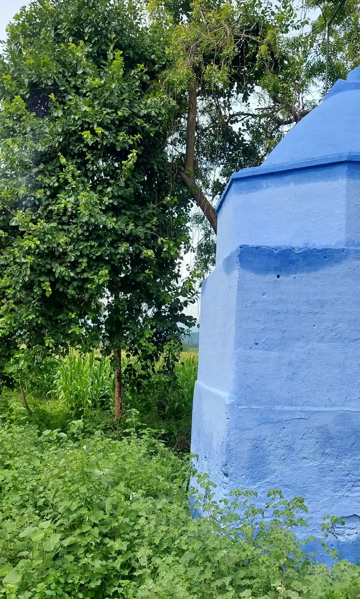 Arulmigu Sellandiamman Temple, Seelaiyampatti - 625515 அருள்மிகு செல்லாண்டியம்மன் கோயில், Seelaiyampatti - 625515, Theni - Ancient Temple Architecture and History Image 3