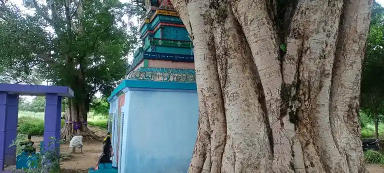 Arulmigu Sellandiamman Temple, Sulapparam - 625535 அருள்மிகு செல்லாண்டி அம்மன் திருக்கோயில், Sulapparam - 625535, Madurai - Ancient Temple Architecture and History Image 4