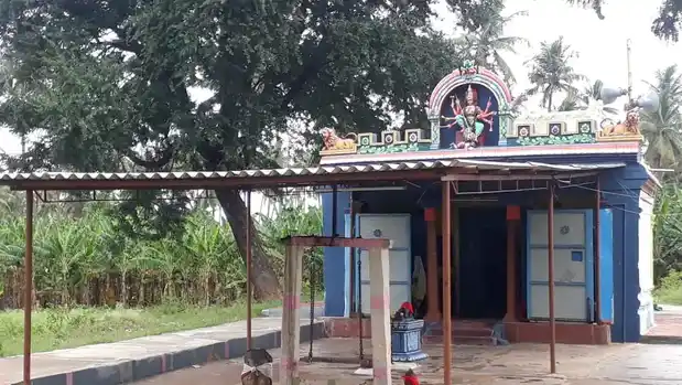 Arulmigu Sellandiamman Temple, Sundakamuthur, Sundakamuthur - 641010 அருள்மிகு செல்லாண்டியம்மன் திருக்கோயில், சுண்டக்காமுத்தூர், Sundakamuthur - 641010, Coimbatore - Ancient Temple Architecture and History Image 4