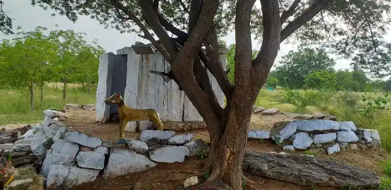 Arulmigu Sellandiamman Temple, Thurumakkanpatti, Karikkali - 624703 அருள்மிகு செல்லாண்டியம்மன் திருக்கோயில், Thurumakkanpatti, கரிக்காலி - 624703, Dindigul - Ancient Temple Architecture and History Image 4