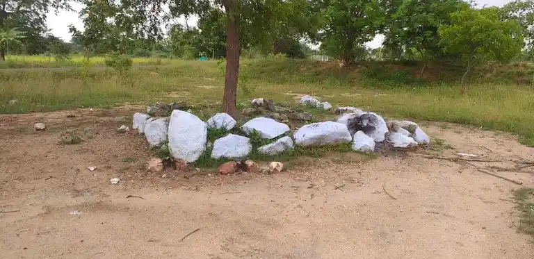 Arulmigu Sellandiamman Temple, Thurumakkanpatti, Karikkali - 624703 அருள்மிகு செல்லாண்டியம்மன் திருக்கோயில், Thurumakkanpatti, கரிக்காலி - 624703, Dindigul - Ancient Temple Architecture and History Image 6