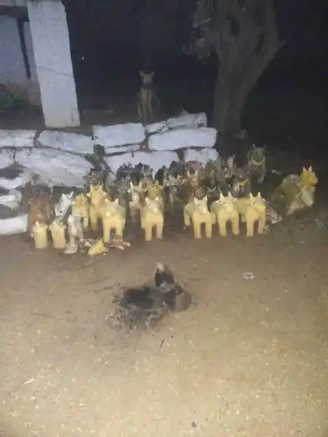 Arulmigu Sellandiamman Temple, Thurumakkanpatti, Karikkali - 624703 அருள்மிகு செல்லாண்டியம்மன் திருக்கோயில், Thurumakkanpatti, கரிக்காலி - 624703, Dindigul - Ancient Temple Architecture and History Image 9