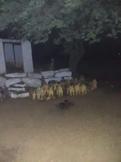 Arulmigu Sellandiamman Temple, Thurumakkanpatti, Karikkali - 624703 அருள்மிகு செல்லாண்டியம்மன் திருக்கோயில், Thurumakkanpatti, கரிக்காலி - 624703, Dindigul - Ancient Temple Architecture and History Image 11