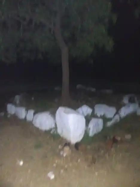 Arulmigu Sellandiamman Temple, Thurumakkanpatti, Karikkali - 624703 அருள்மிகு செல்லாண்டியம்மன் திருக்கோயில், Thurumakkanpatti, கரிக்காலி - 624703, Dindigul - Ancient Temple Architecture and History Image 13