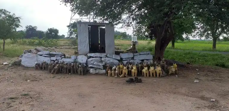 Arulmigu Sellandiamman Temple, Thurumakkanpatti, Karikkali - 624703 அருள்மிகு செல்லாண்டியம்மன் திருக்கோயில், Thurumakkanpatti, கரிக்காலி - 624703, Dindigul - Ancient Temple Architecture and History Image 15