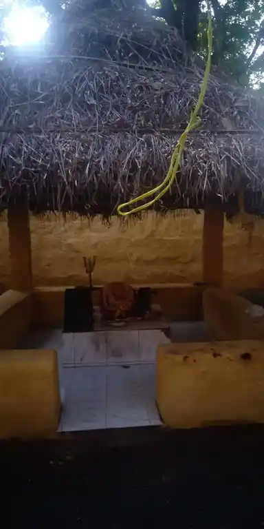 Arulmigu Sellandiamman Temple, Uppukottai - 625534 அருள்மிகு செல்லாண்டியம்மன் திருக்கோயில், Uppukottai - 625534, Theni - Ancient Temple Architecture and History Image 4