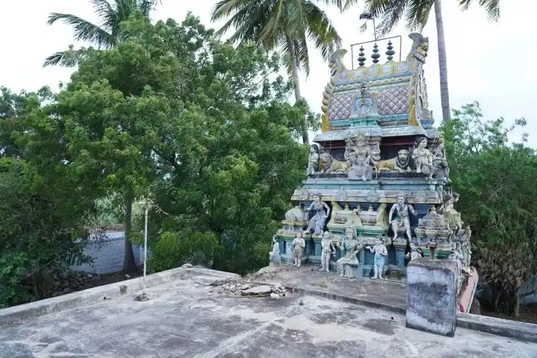 Arulmigu Sellandiamman Temple, Vadapoothinatham - 642132 அருள்மிகு செல்லாண்டியம்மன் திருக்கோயில், Vadapoothinatham - 642132, Tiruppur - Ancient Temple Architecture and History Image 8