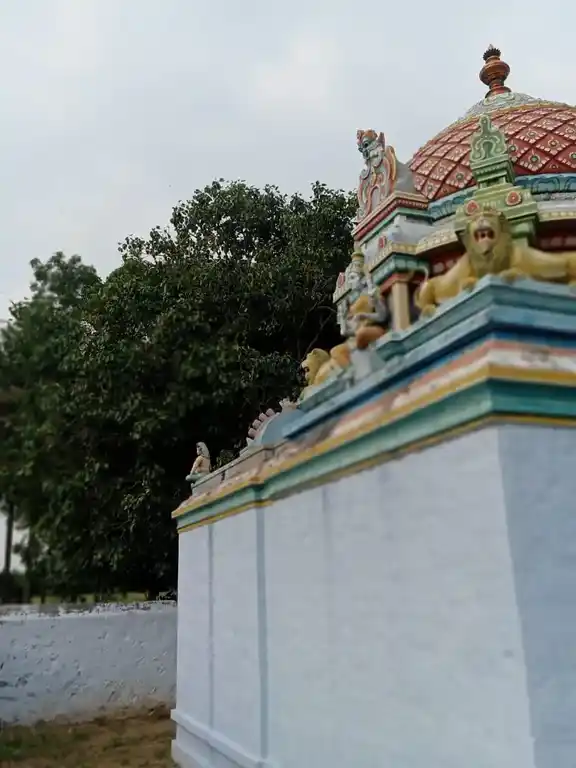 Arulmigu Sellandiamman Temple, Vankipalayam - 644666 அருள்மிகு செல்லாண்டியம்மன் திருக்கோயில், வேங்கிபாளையம் - 644666, Tiruppur - Ancient Temple Architecture and History Image 4