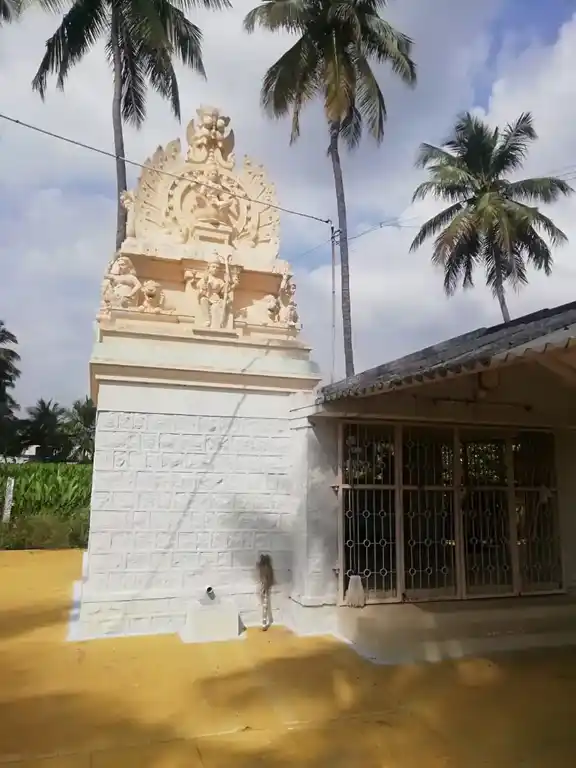 Arulmigu Sellandiyamman Temple, Anumanpalli - 638101 Temple