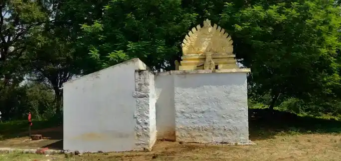 Arulmigu Sellandiyamman Temple, Nallamuthupalayam - 621313 அருள்மிகு செல்லாண்டியம்மன் திருக்கோயில், Nallamuthupalayam - 621313, Karur - Ancient Temple Architecture and History Image 4