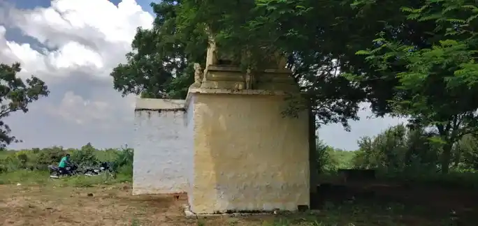 Arulmigu Sellandiyamman Temple, Nallamuthupalayam - 621313 அருள்மிகு செல்லாண்டியம்மன் திருக்கோயில், Nallamuthupalayam - 621313, Karur - Ancient Temple Architecture and History Image 5