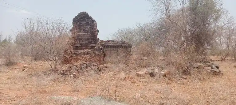 Arulmigu Sellandiyamman Temple, Pallapatti - 639107
