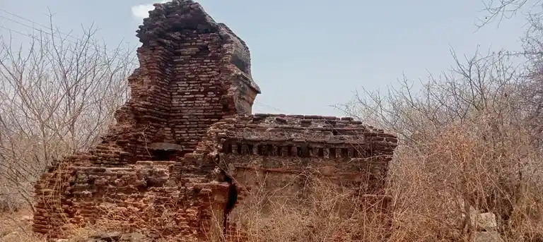 Arulmigu Sellandiyamman Temple, Pallapatti - 639107 அருள்மிகு செல்லாண்டியம்மன் திருக்கோயில்,  - 639107, Karur - Ancient Temple Architecture and History Image 3