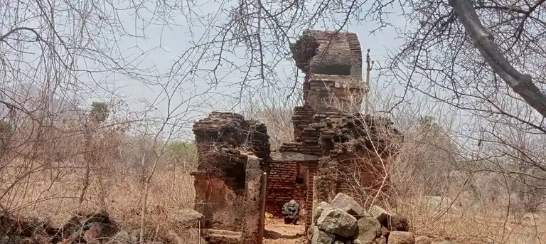 Arulmigu Sellandiyamman Temple, Pallapatti - 639107 அருள்மிகு செல்லாண்டியம்மன் திருக்கோயில்,  - 639107, Karur - Ancient Temple Architecture and History Image 4