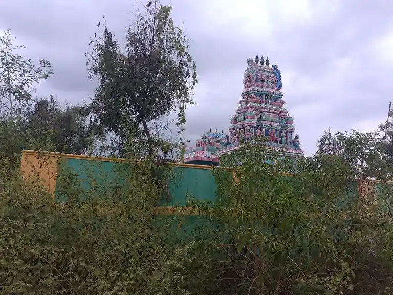 Arulmigu Sellandiyamman Temple, Pottanam - 637409 அருள்மிகு செல்லாண்டியம்மன் திருக்கோயில், Pottanam - 637409, Namakkal - Ancient Temple Architecture and History Image 2