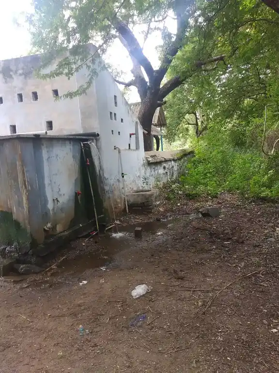 Arulmigu Sellandiyamman Temple, Potty Reddypatti - 637013 அருள்மிகு மாரியம்மன் திருக்கோயில், Potty Reddypatti - 637013, Namakkal - Ancient Temple Architecture and History Image 2