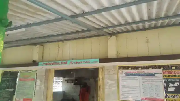 Arulmigu Sellandiyamman Temple, Punjai Edaiyar Melmugam - 637182