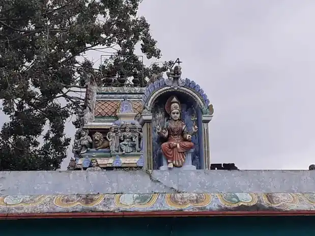 Arulmigu Sellandiyamman Temple, Vellithirupur, Vellithirupur - 638501 அருள்மிகு செல்லாண்டியம்மன் திருக்கோயில், வெள்ளித்திருப்பூர், வெள்ளித்திருப்பூர் - 638501, Erode - Ancient Temple Architecture and History Image 2