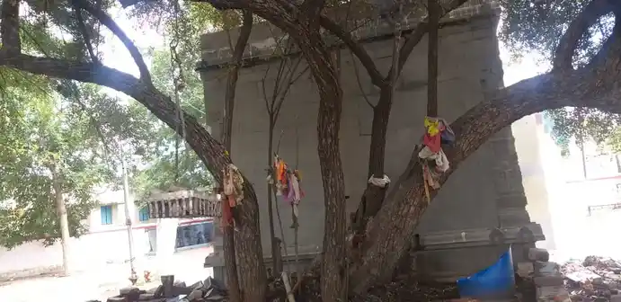 Arulmigu Sellanga Karuppasamy Temple, Pasukaranpatti - 625532 அருள்மிகு செலங்கருப்பசாமி திருக்கோயில், Pasukaranpatti - 625532, Madurai - Ancient Temple Architecture and History Image 2