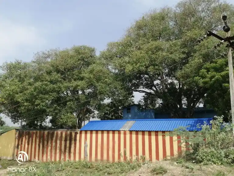 Arulmigu Sellasamy Madam, Ekkakudi - 623807 அருள்மிகு செல்லச்சாமி மடம், Ekkakudi - 623807, Ramanathapuram - Ancient Temple Architecture and History Image 4